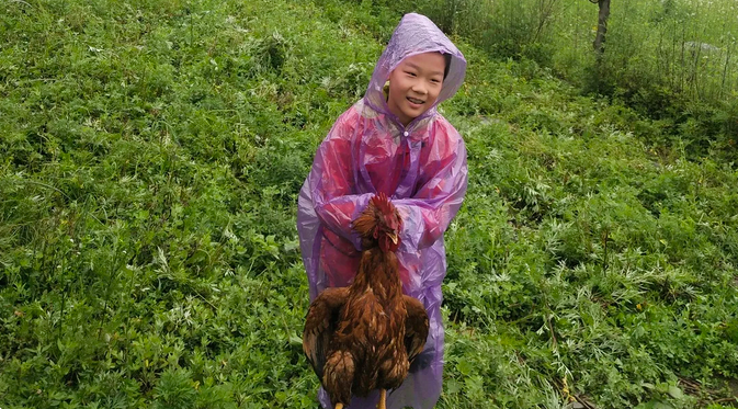 微信截图_20201127100540.png